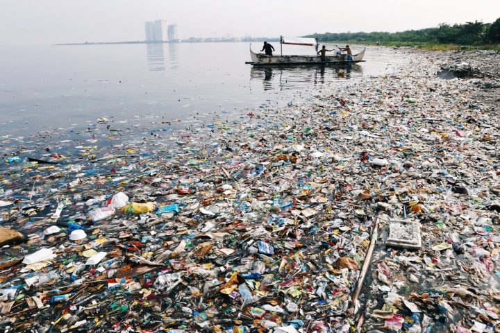 WOODIES – Let’s Help Our Ocean!