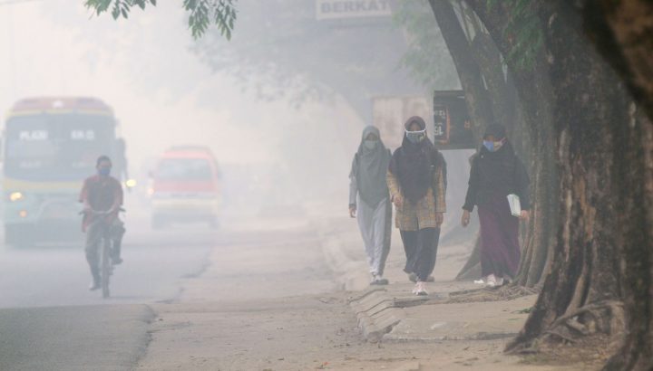 WOODIES – Air Pollution Strikes, Again!